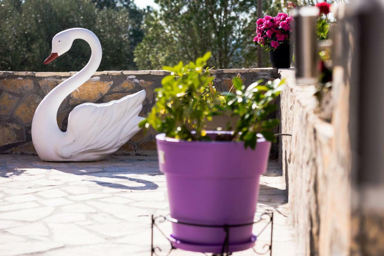 Sofia'S Apartments Ραζάτα Εξωτερικό φωτογραφία
